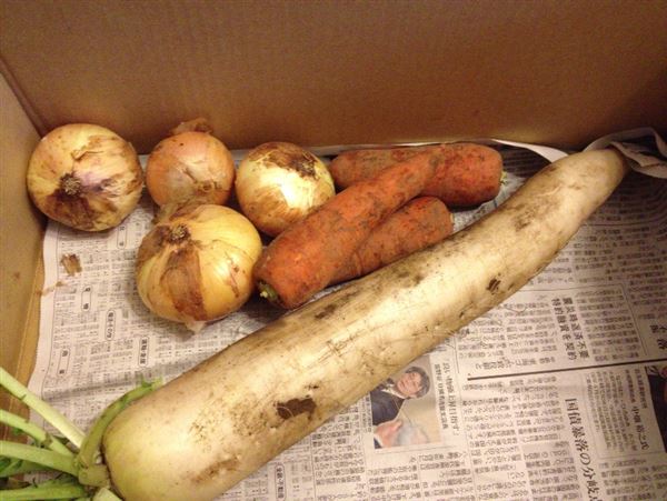 らでぃしゅぼーや野菜